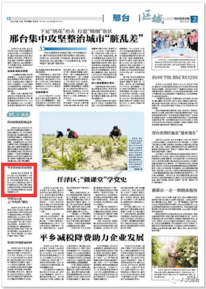 建成渝昆高铁川渝段、建成8个高速公路项目 今年重庆交通定下这些目标